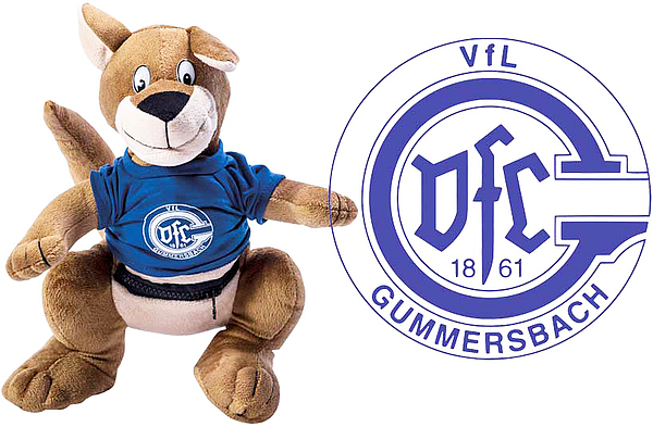 Logo-VfL-Gummersbach-Partner-Klinikum-Oberberg