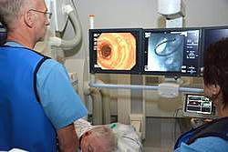 Gastroenterologie Gastroenterologie